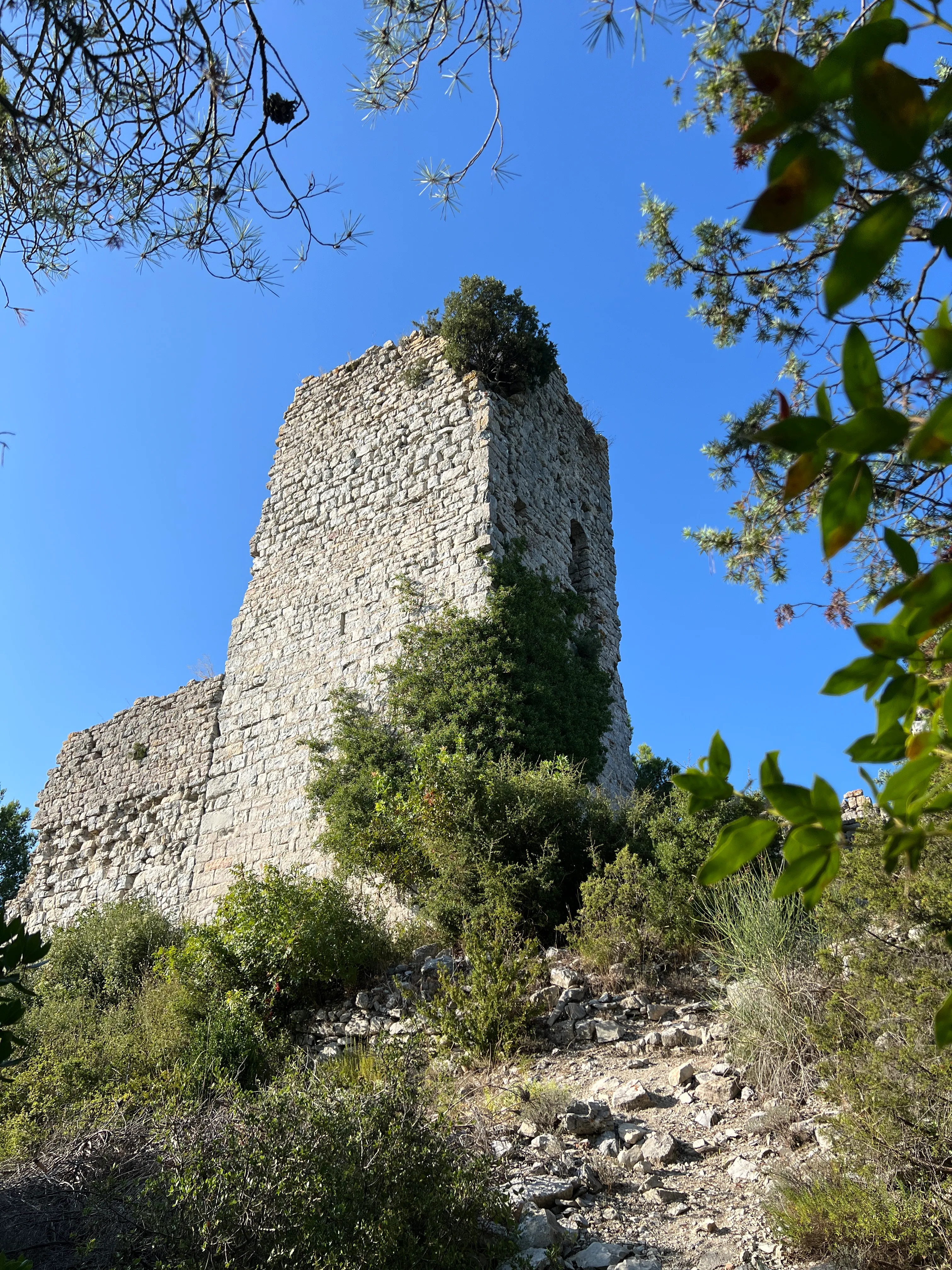 Le Castellas de Belvézet