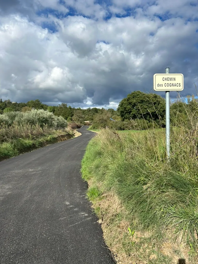 Chemin des Cognacs